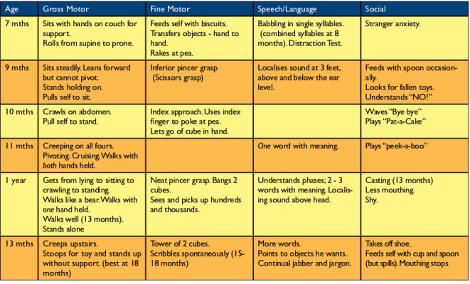 Gross motor development for toddlers