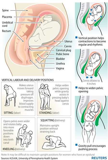 Cervical fluid while pregnant