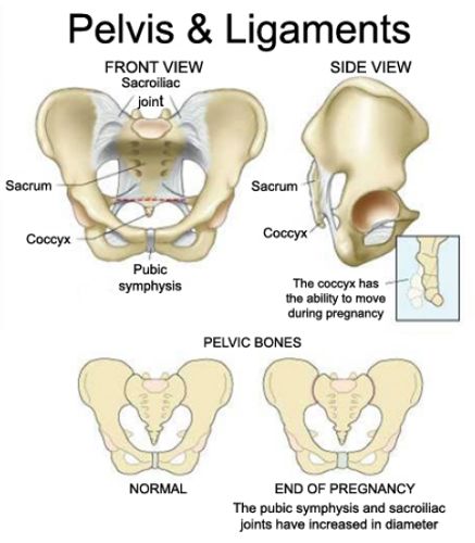 Why is my pubic bone sore during pregnancy