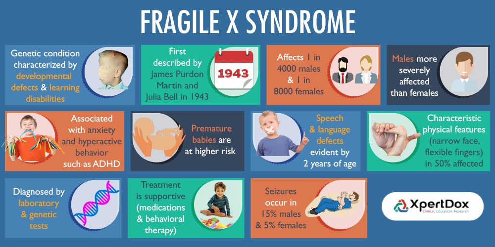 Fragile x genetic