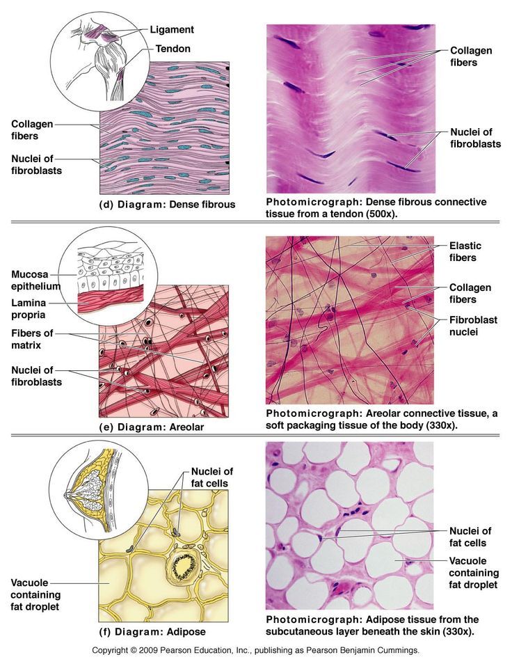 Pics of miscarriage tissue