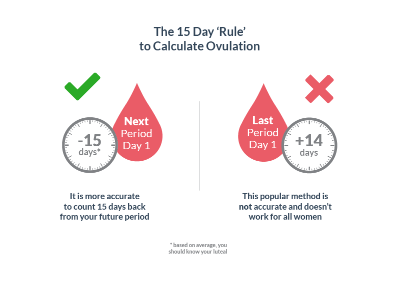 What to do on ovulation day