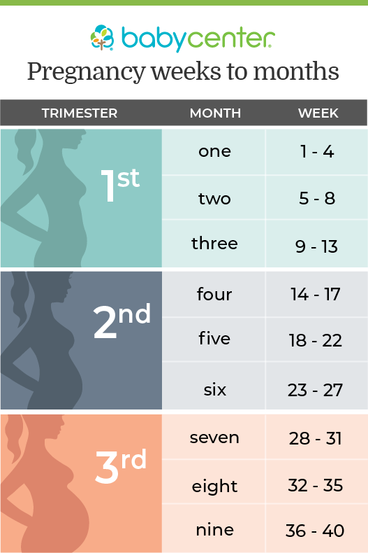 What week does second trimester begin