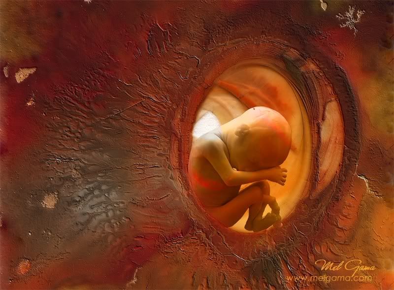 Picture of twins in womb