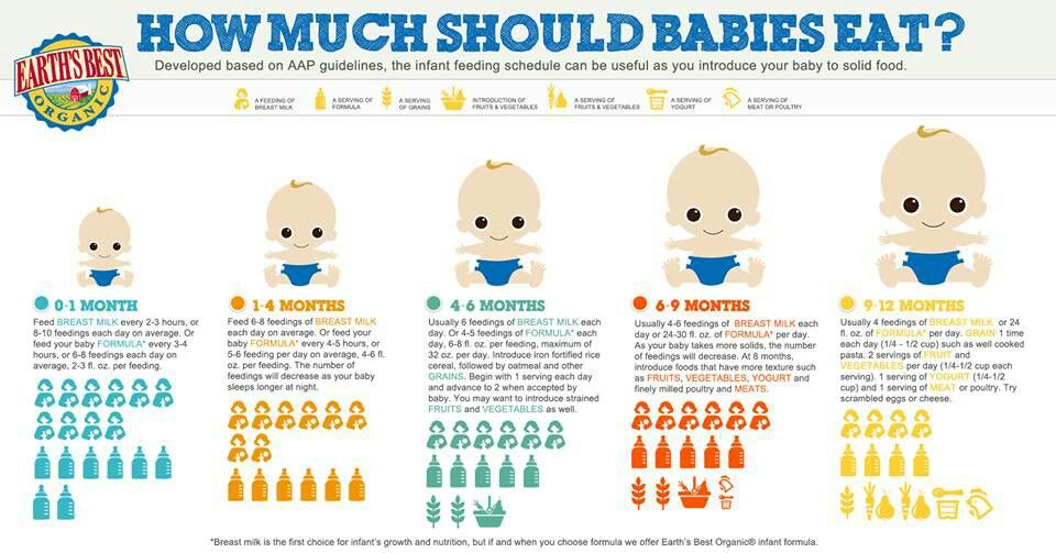 Introducing food to baby timeline