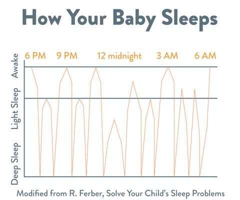 Infant sleep cycle length