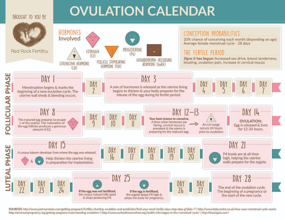 Spotting when conceiving