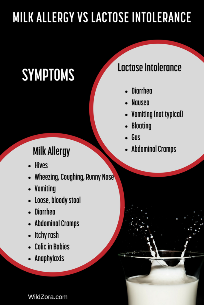 Best formula for milk allergy