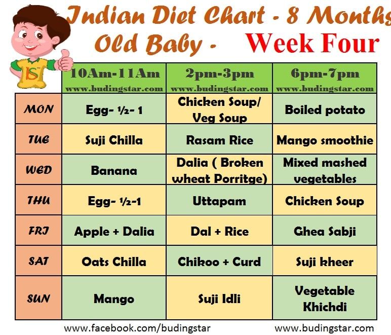 What foods can 8 month old eat