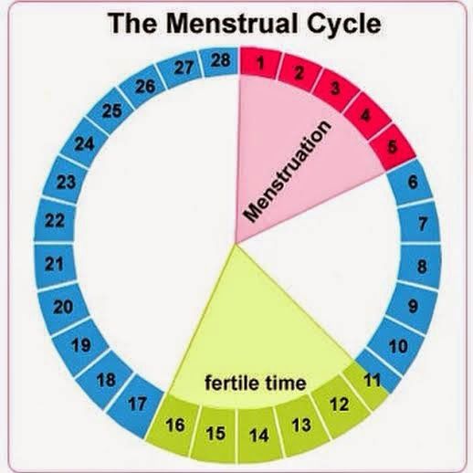 How can you tell ovulation