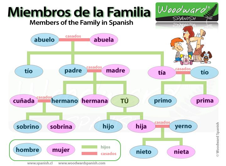 How to say child development in spanish