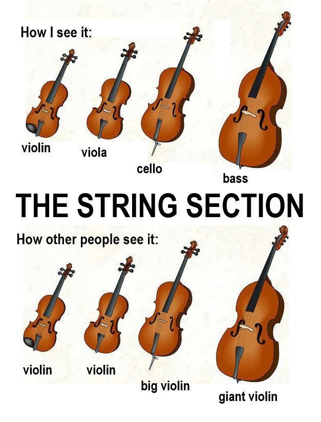 How to find the right size violin for a child