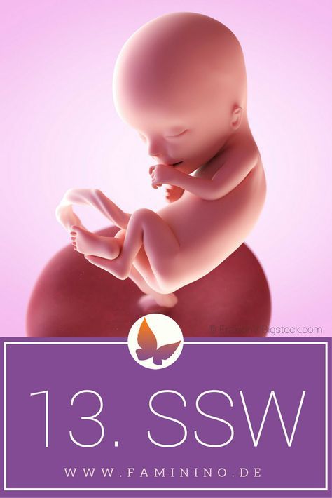 Your baby week 13