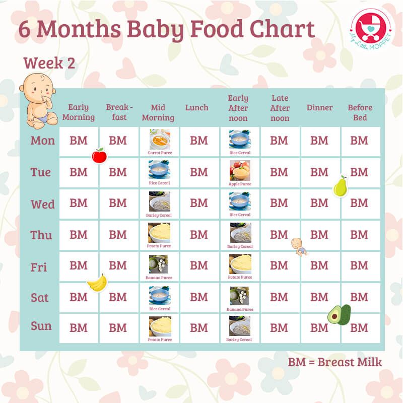 Baby months chart