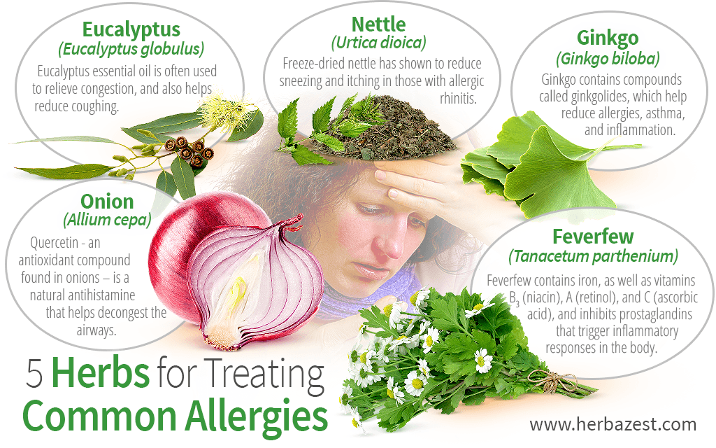 Allergies in 6 month old