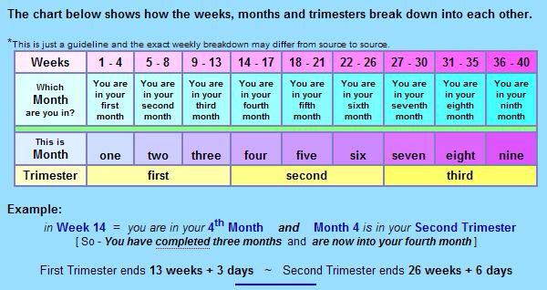 Third trimester pregnancy week