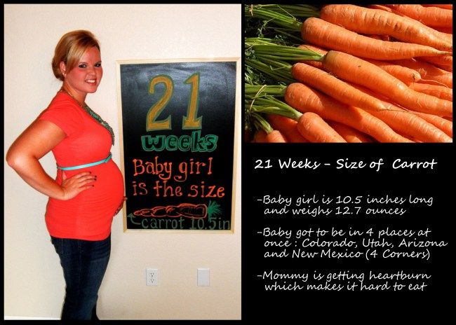 How big is 12 weeks pregnant