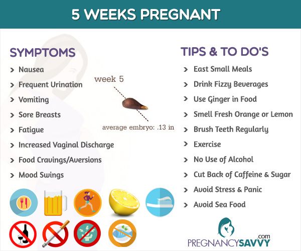 5 1 2 week pregnancy symptoms