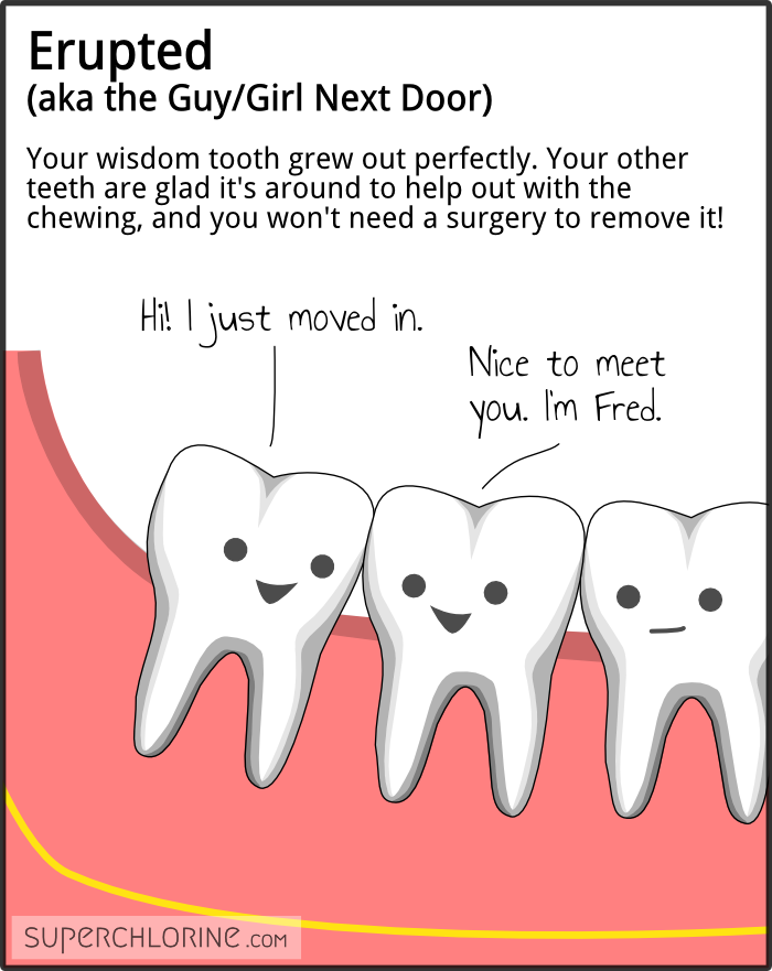 Which teeth grow first