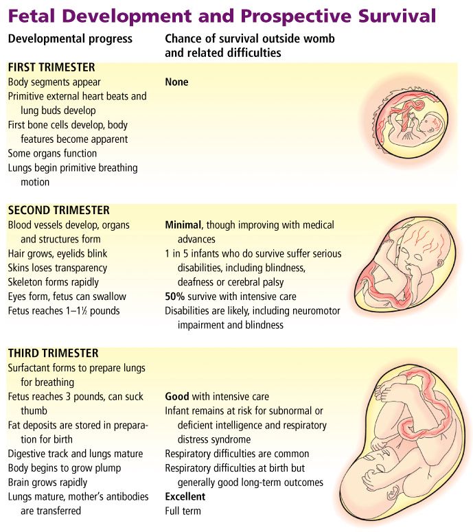 Post nasal drip pregnancy first trimester