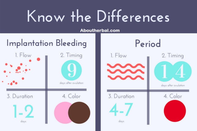 What to do on ovulation day