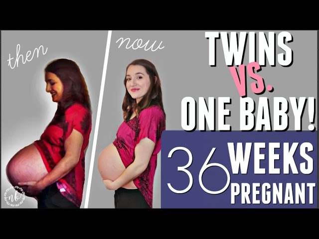 How to twins pregnancy