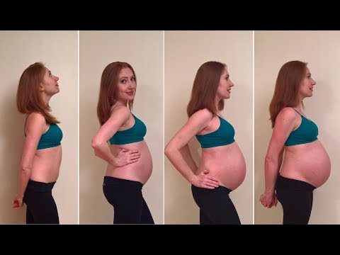 Pregnancy week progress