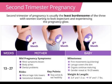 Feeling weak during pregnancy second trimester