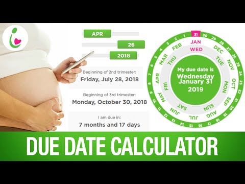 Due date calculator for conception day