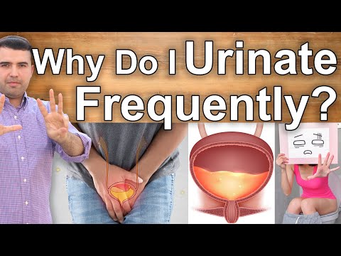 Why does pregnancy cause frequent urination