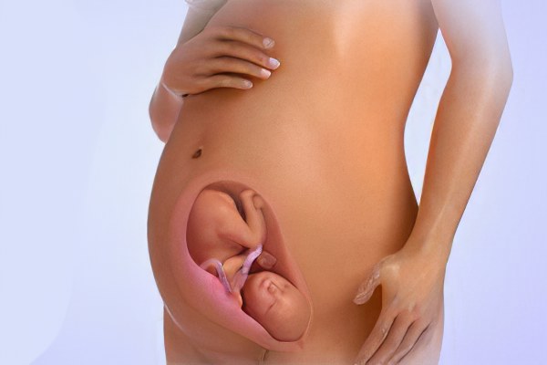 13 weeks pregnancy images