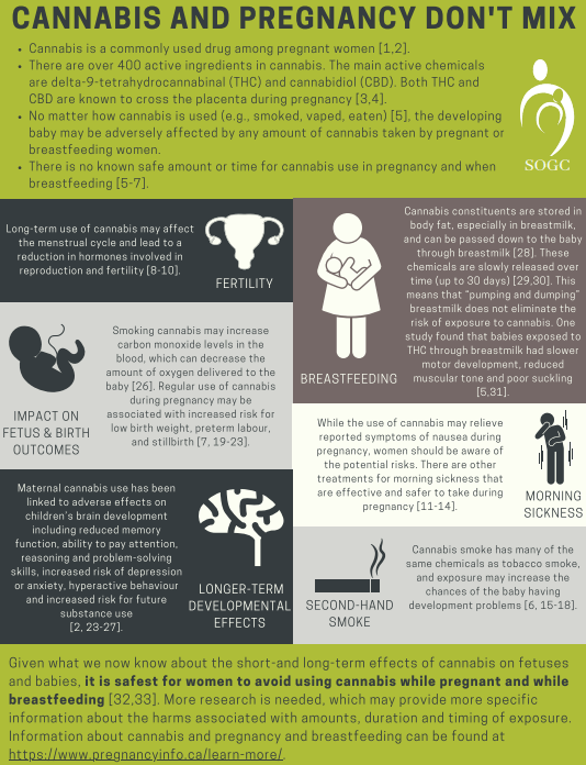 What cheese to avoid when pregnant