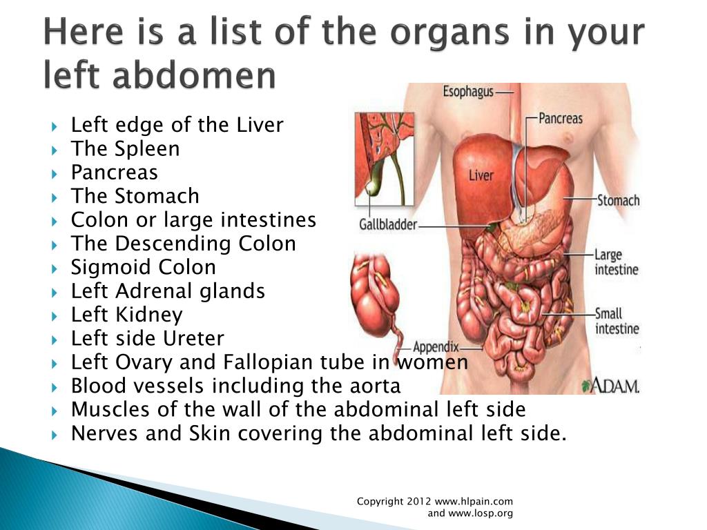 Pain in lower abdomen and pelvic area during pregnancy