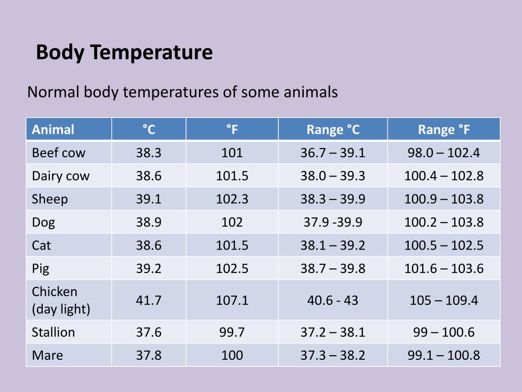 Normal temp range newborn