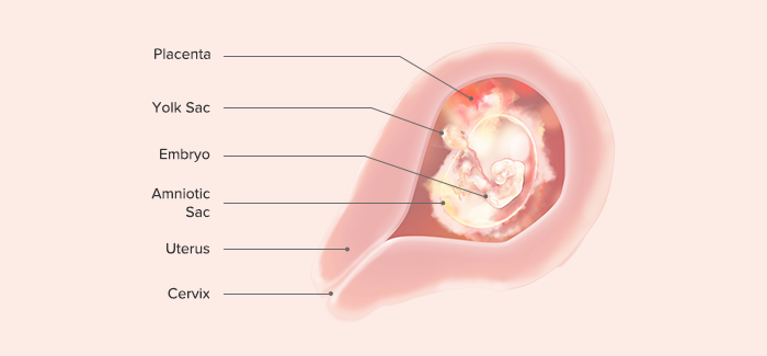 Outside uterus pregnancy symptoms