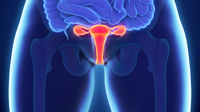 Postpartum vulvar itching Postpartum vulvar itching