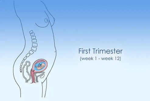 Pregnant women in first trimester
