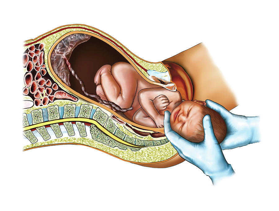 During the second stage of labor