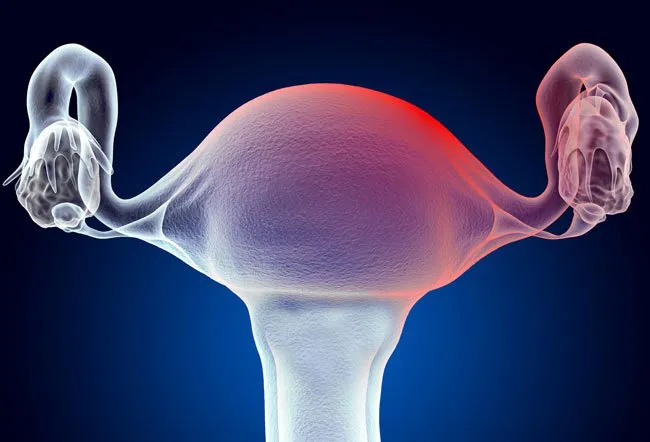 Pregnancy cervical discharge