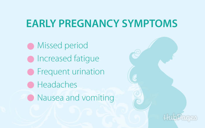 Frequent pee early pregnancy