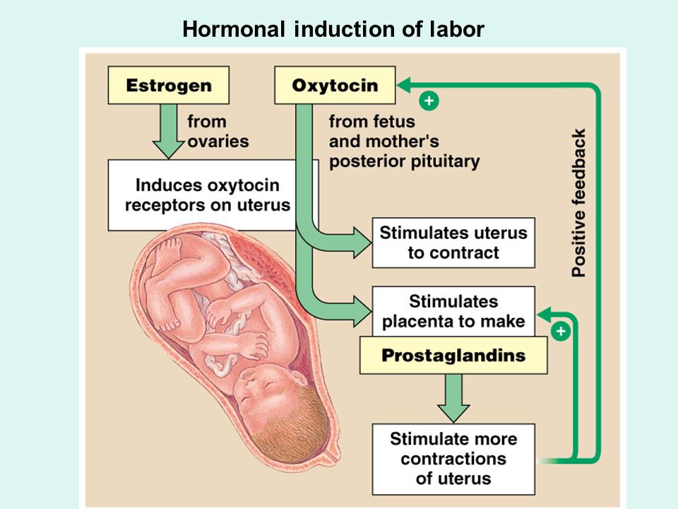 Method to induce labor