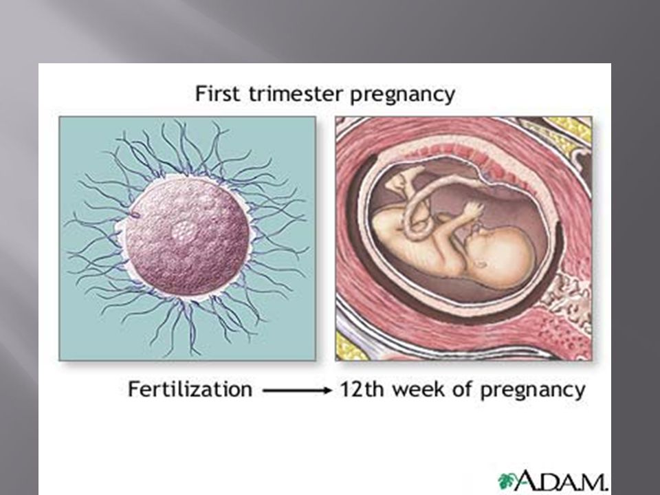 First stages of miscarriage