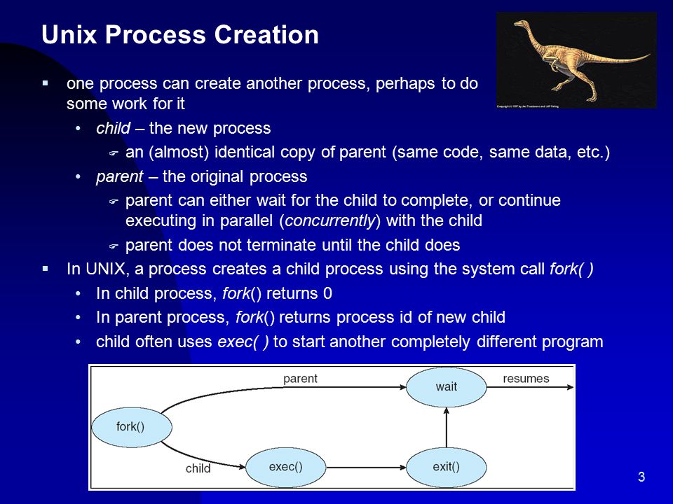 Termination pregnancy procedure