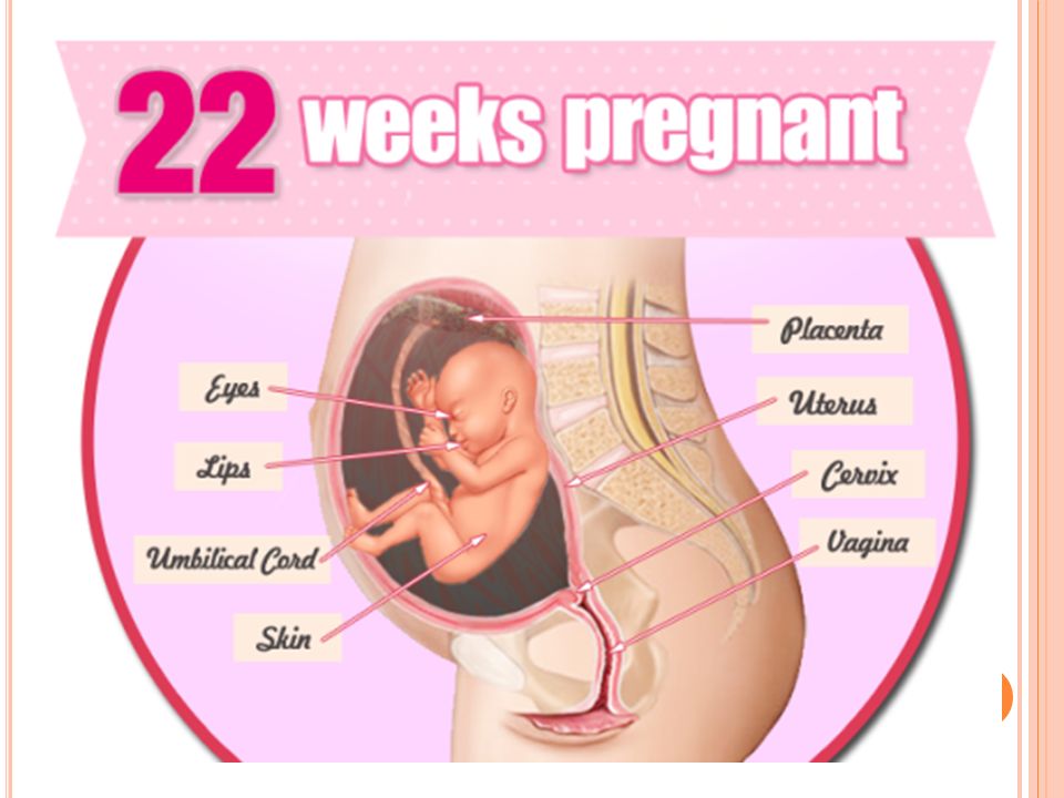 21 weeks pregnant no movement today