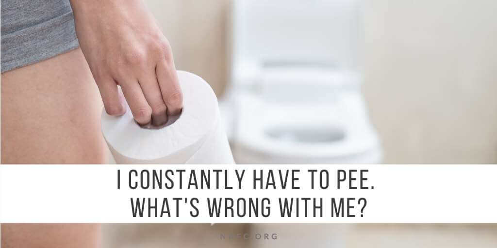 How often is it normal to pee