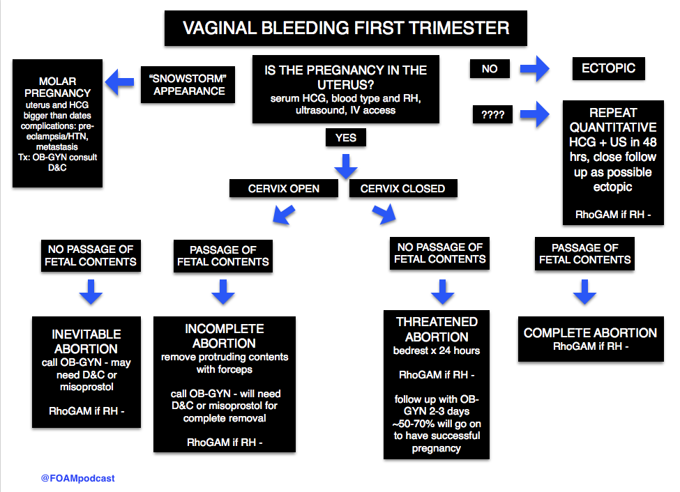 Bleeding in the 3rd trimester