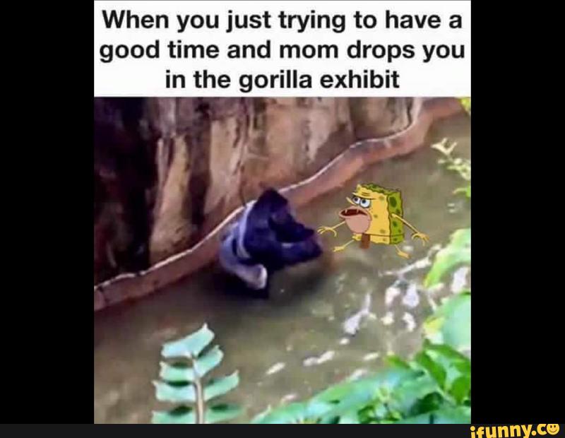 How did child get in gorilla enclosure