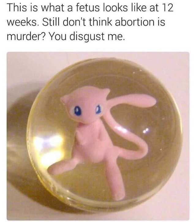 How does a fetus look at 10 weeks