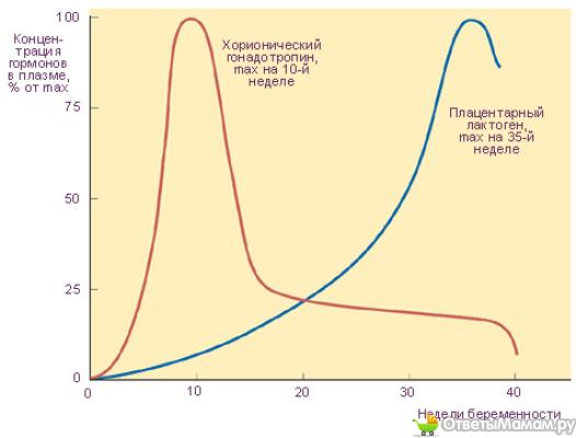 Hormone level test pregnancy