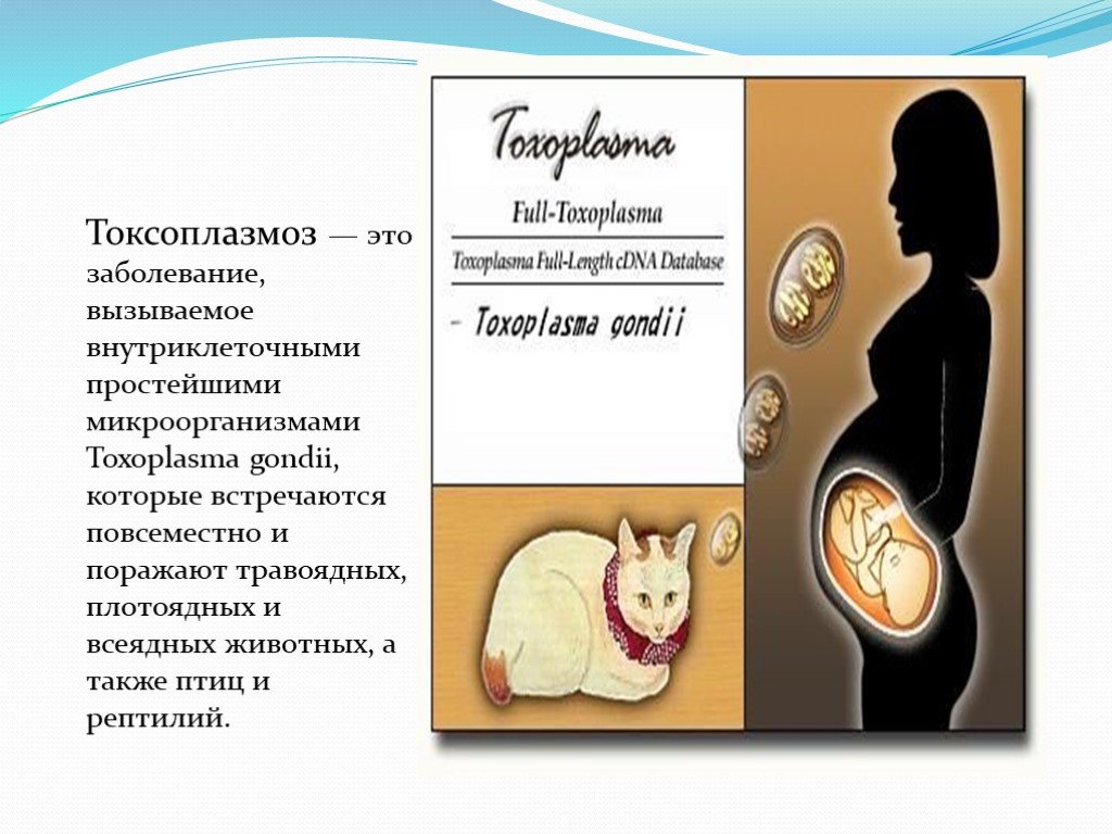 Toxoplasmosis symptoms during pregnancy